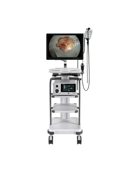 Torre Endoscopia Serie X-2600